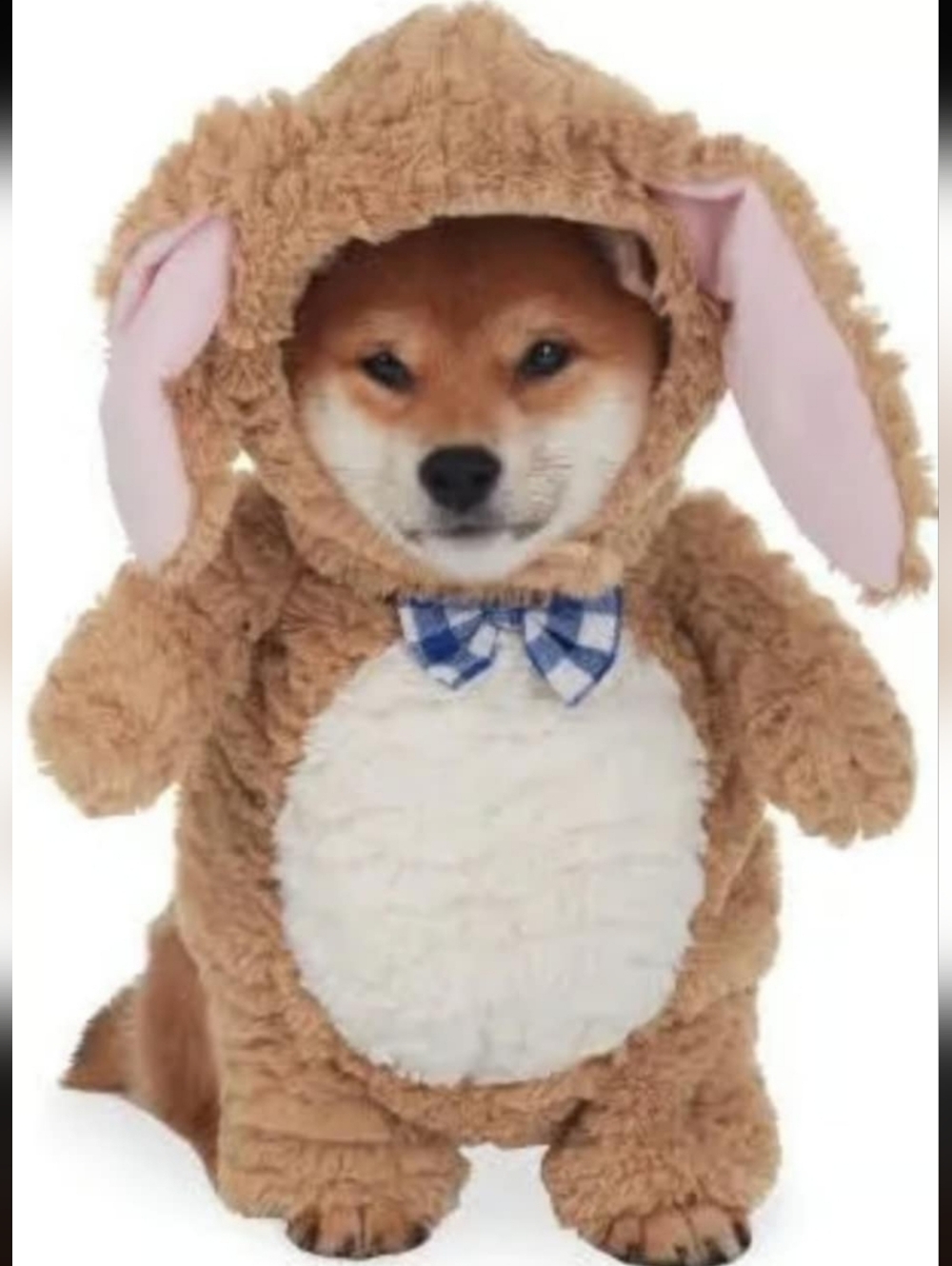 Moonlight Manor Soft Bunny/Rabbit Dog Costume Size Large